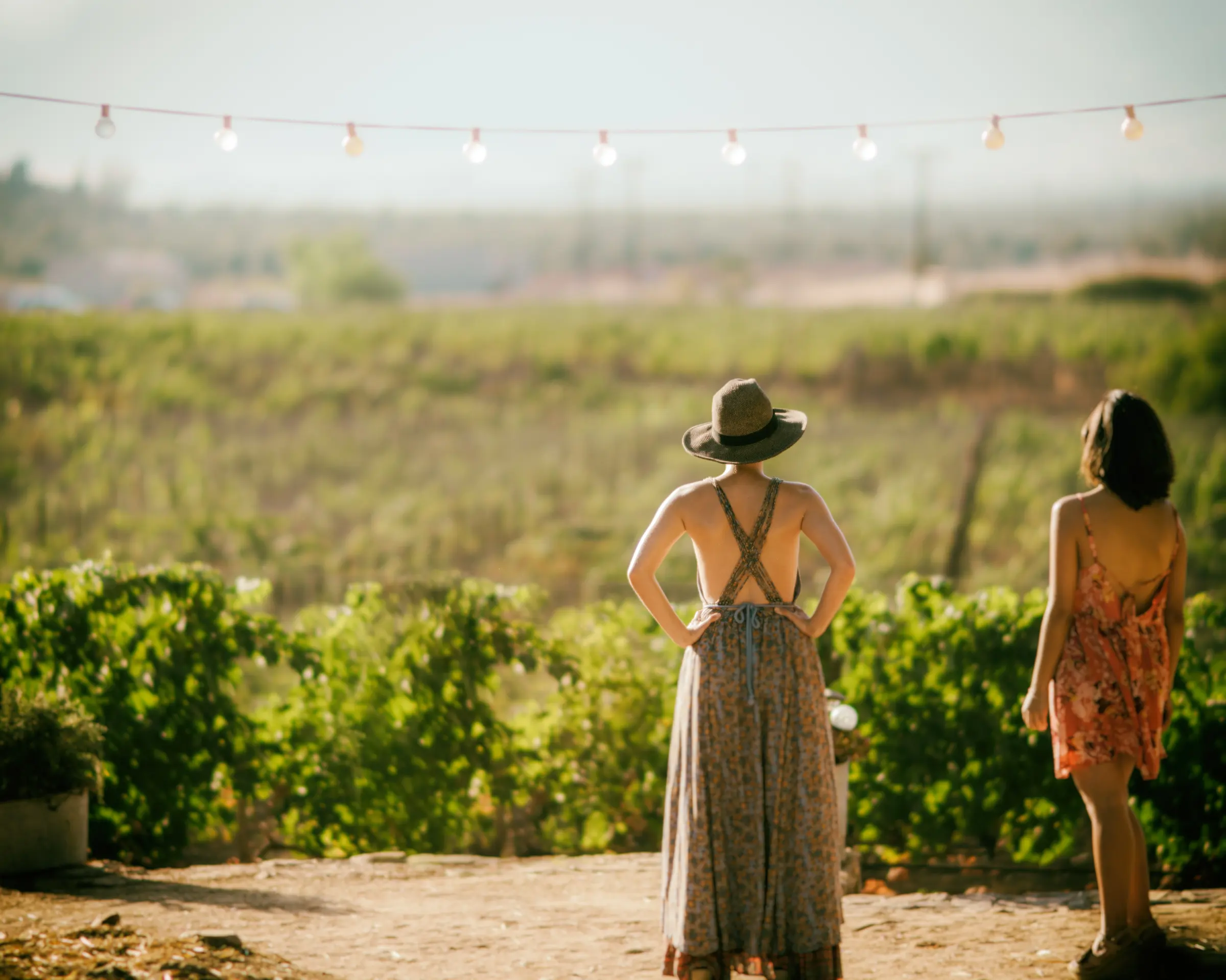 Two guests in summer clothes looking out over the vineyard