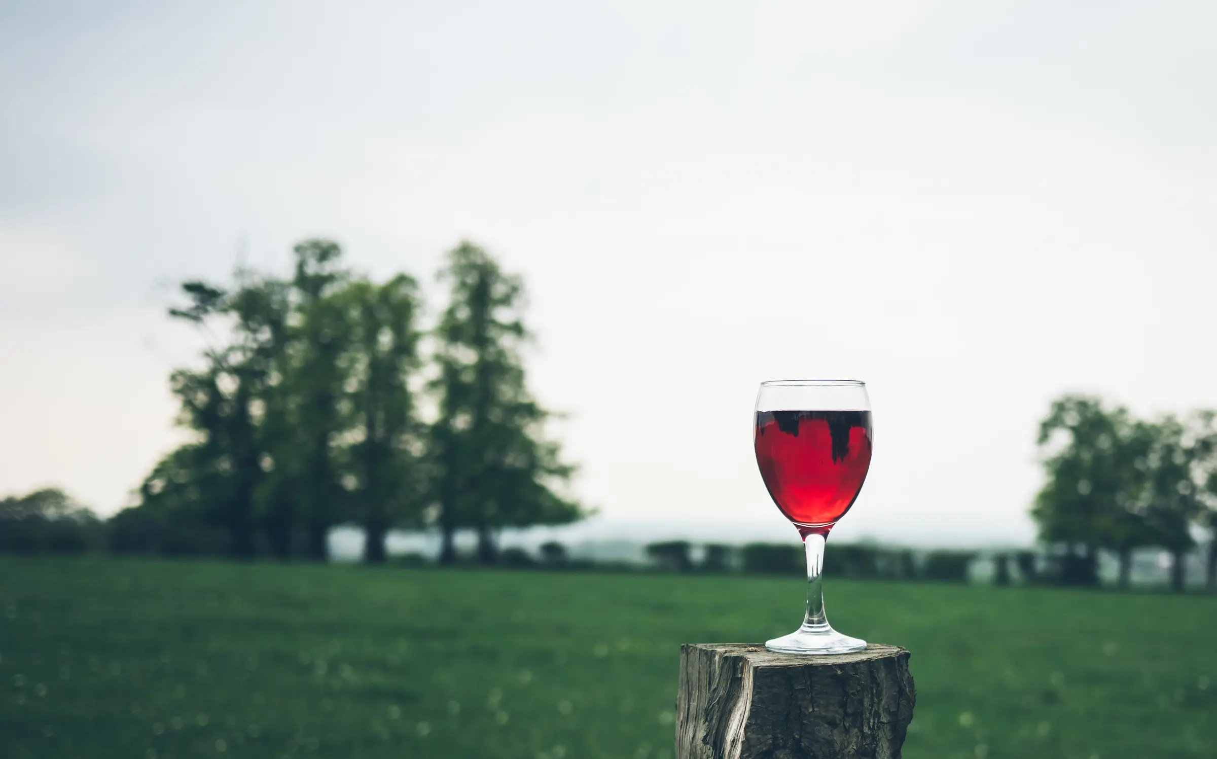 A glass of red wine standing on a tree stump in a meadow